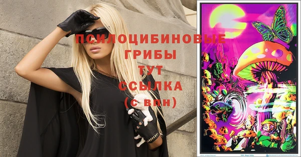 амфетамин Белокуриха