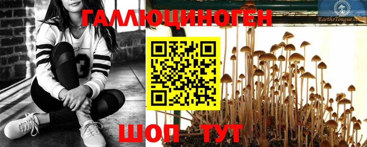 Видное  Псилоцибиновые грибы мухоморы  Галлюциногенные грибы MAGIC MUSHROOMS  Вход с VPN 